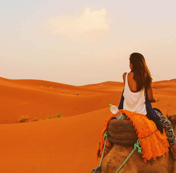 Camel Safari in Dubai