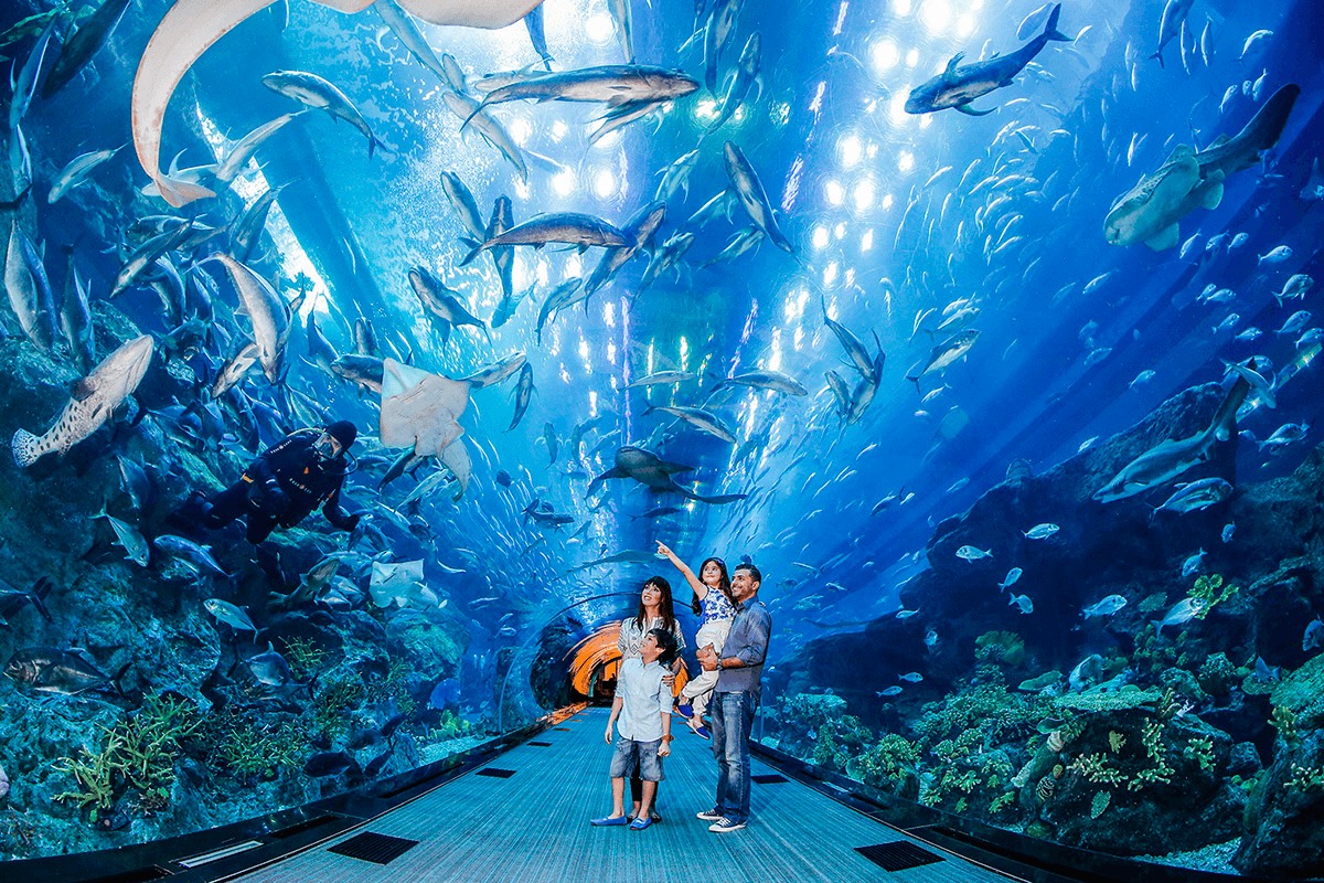 Dubai Mall Aquarium Tickets