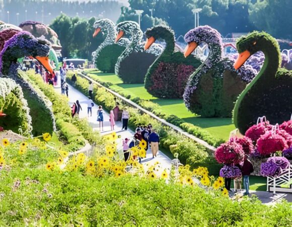 Dubai Miracle Garden is the most beautiful place to visit in Dubai, UAE