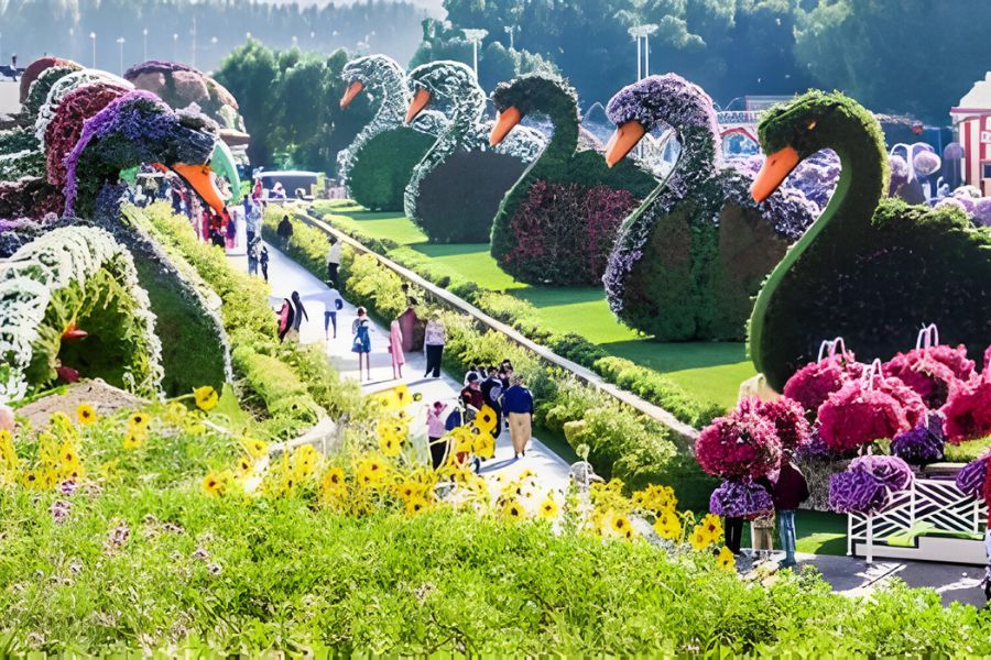 Dubai Miracle Garden