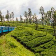 Romantic Things to Do in Sri Lanka