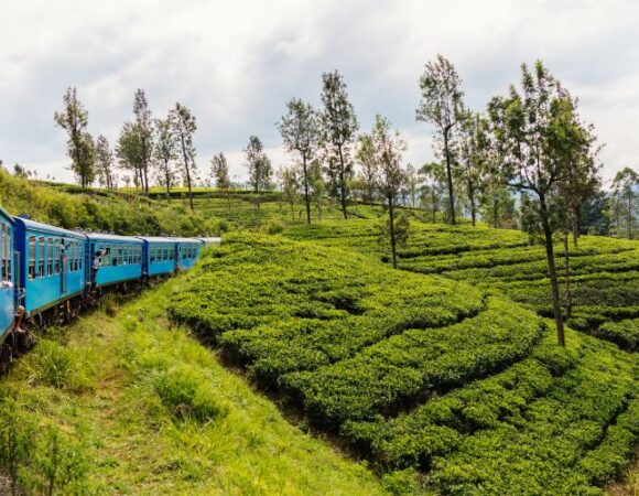 Romantic Things to Do in Sri Lanka for Couples