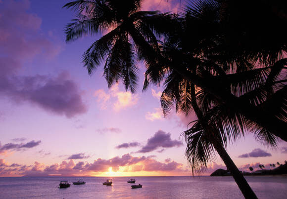 Easy Steps to Get an Antigua and Barbuda Visa from the UAE