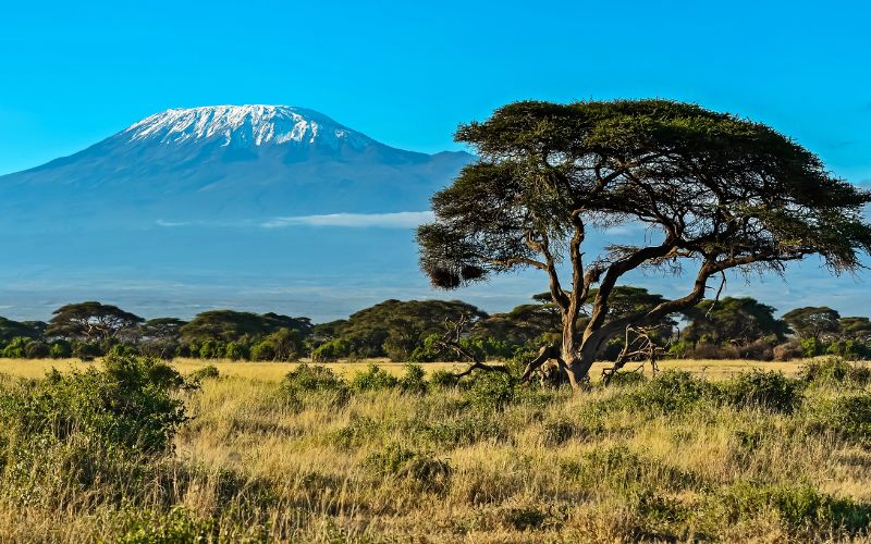 Best Time to Visit Kenya