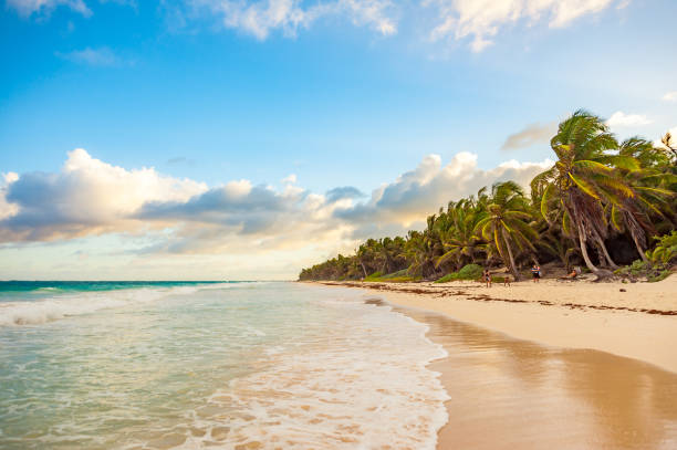 Mexico Surfing Beaches