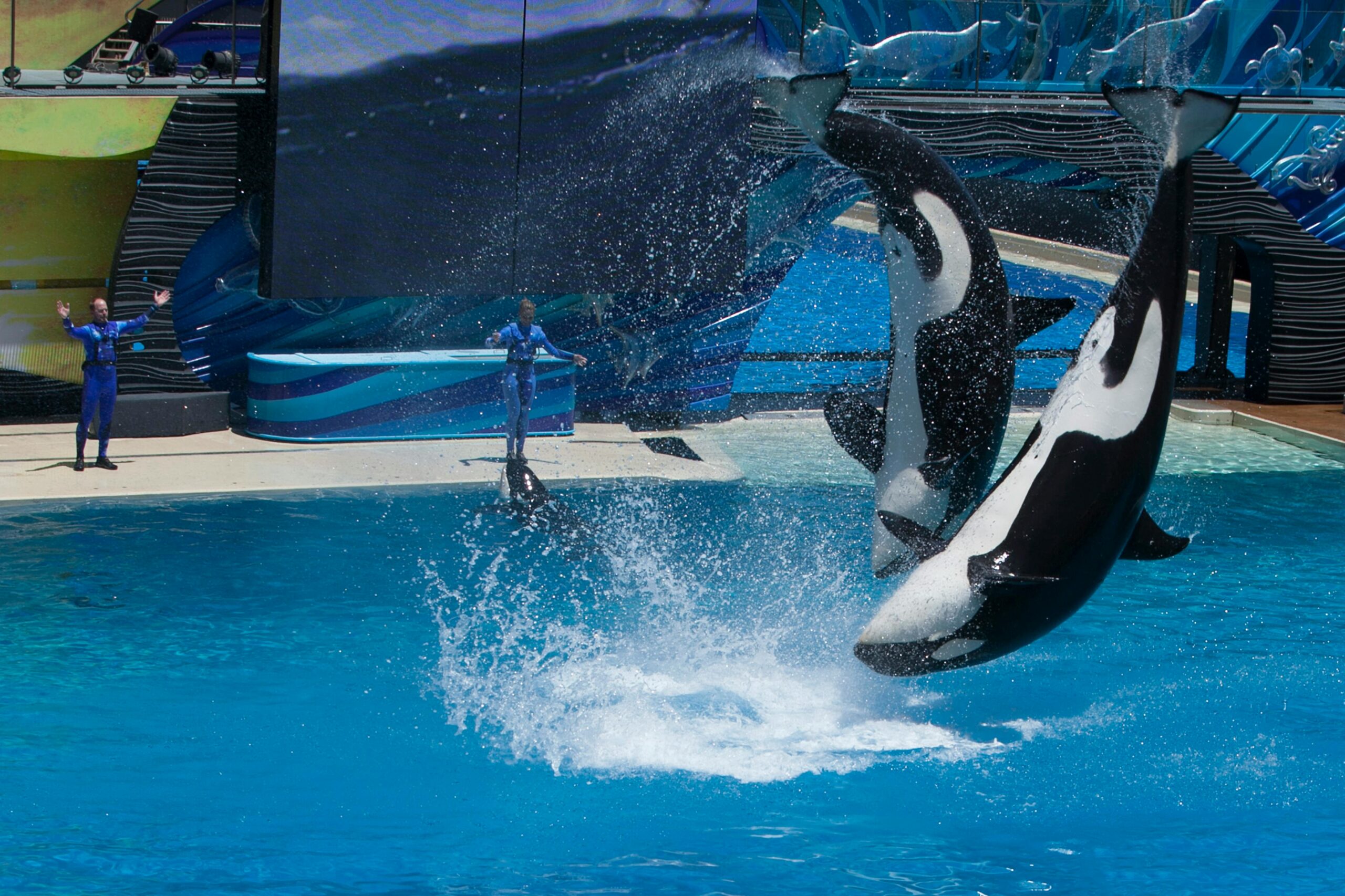 Reasons to Visit SeaWorld Abu Dhabi