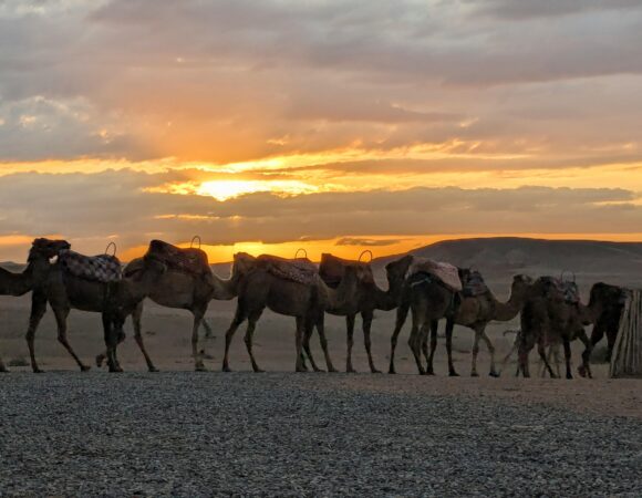 Traditional Bedouin Camp Activities on a Dubai Evening Safari