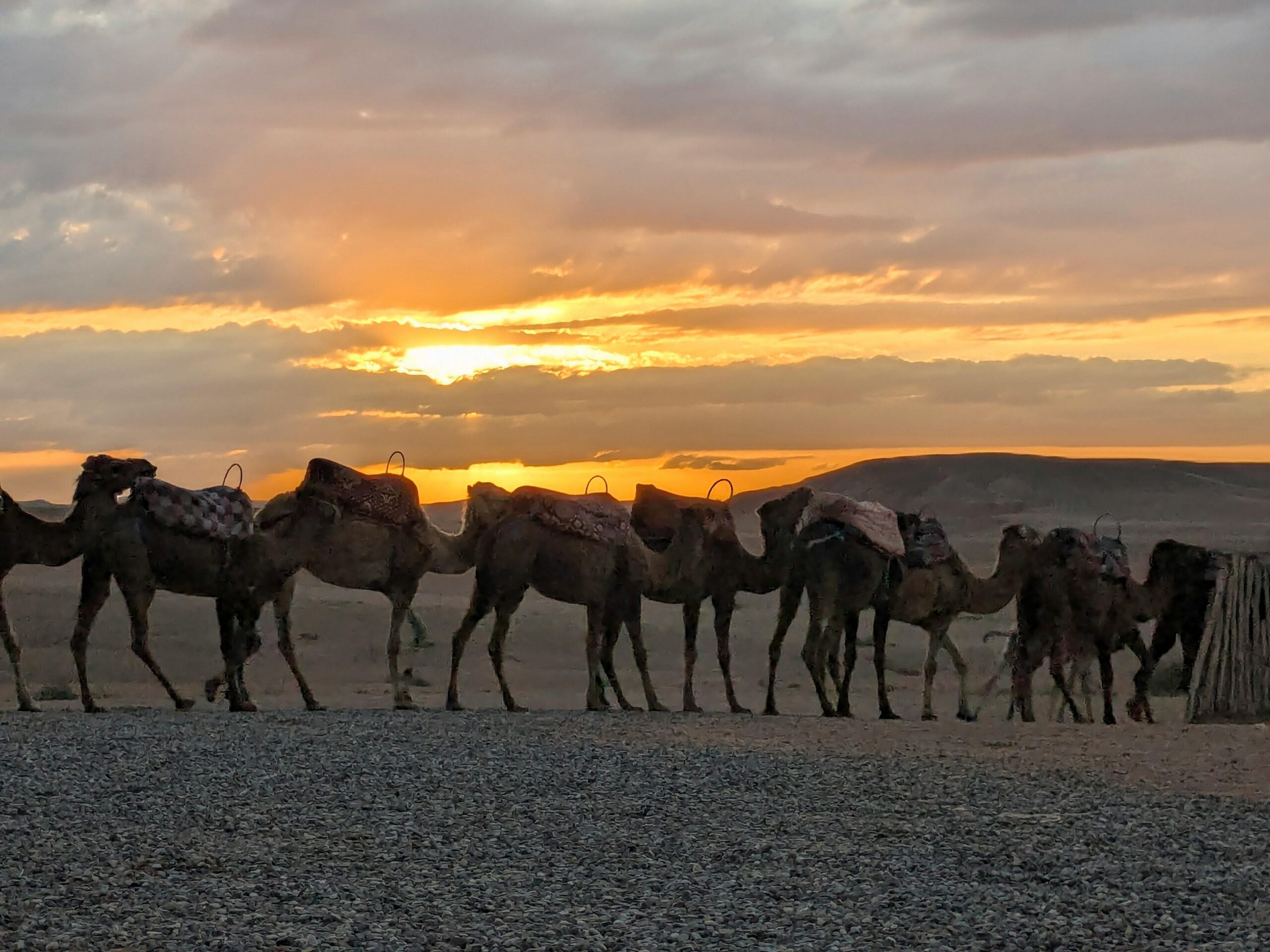 Bedouin Camp Activities on a Dubai Evening Safari