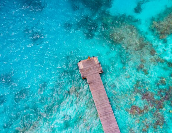 Atlantis Aquaventure Ticket: Is It Worth It for Just Half a Day?