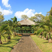 Black River Gorges National Park: The Green Heart of Mauritius