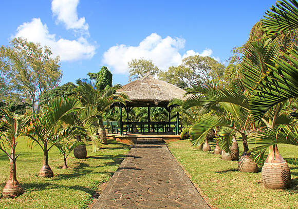 Exploring Black River Gorges National Park: The Green Heart of Mauritius